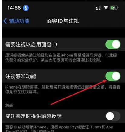 南头镇苹果14维修网点分享iPhone14注视感知功能有什么用 